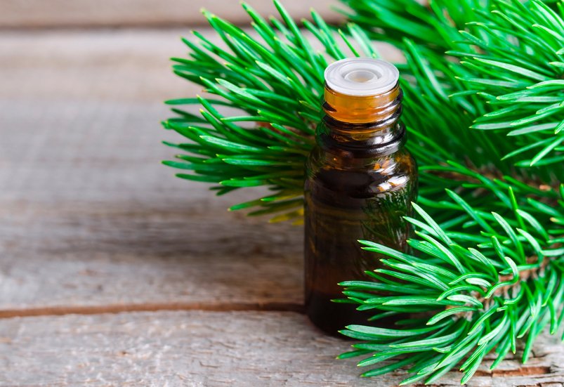 10 reasons why you need a bottle of pine essential oil